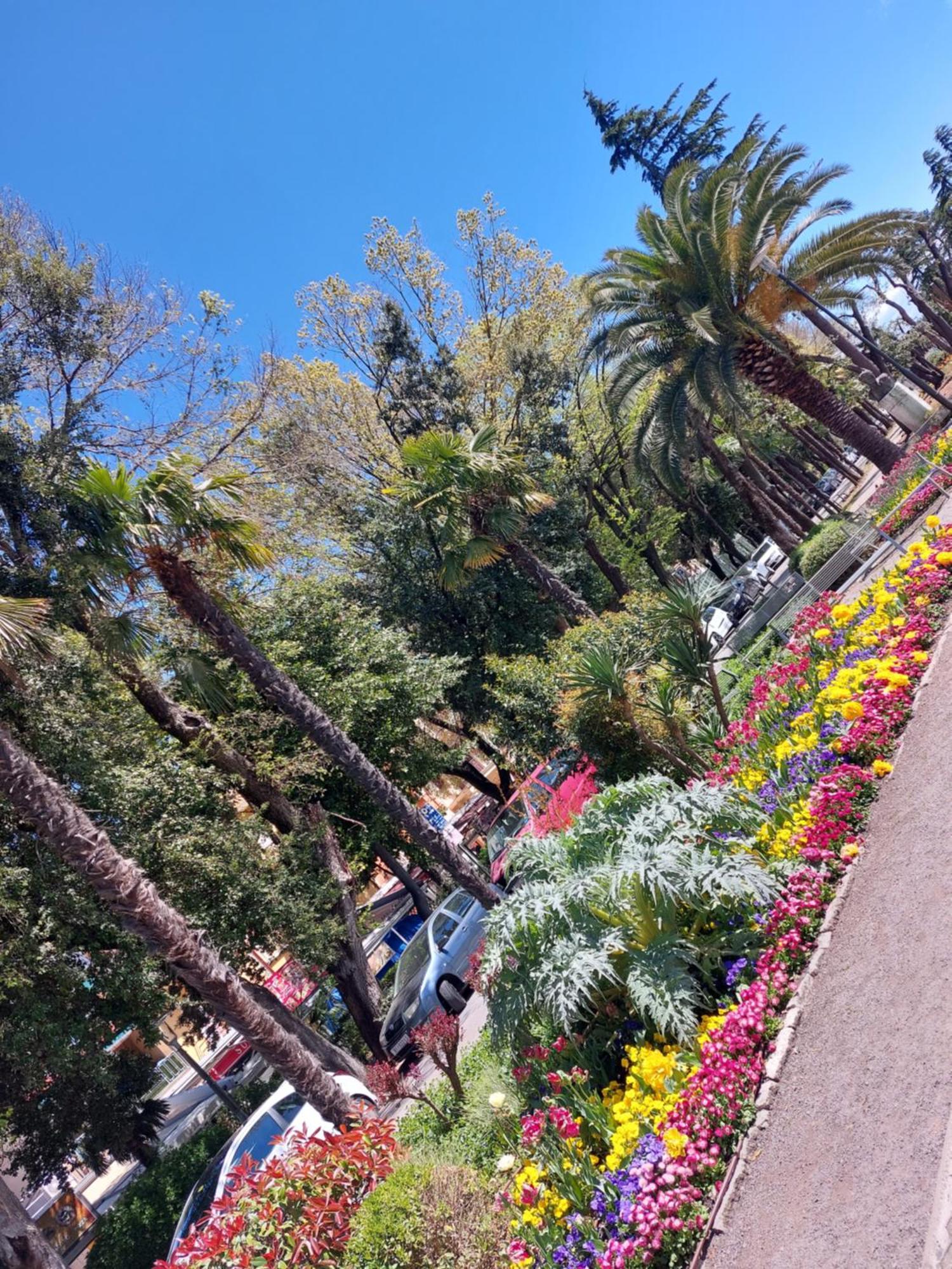 דראמליי Bella Adria Apartmani מראה חיצוני תמונה